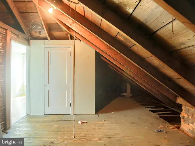 a view of a backyard with a tree