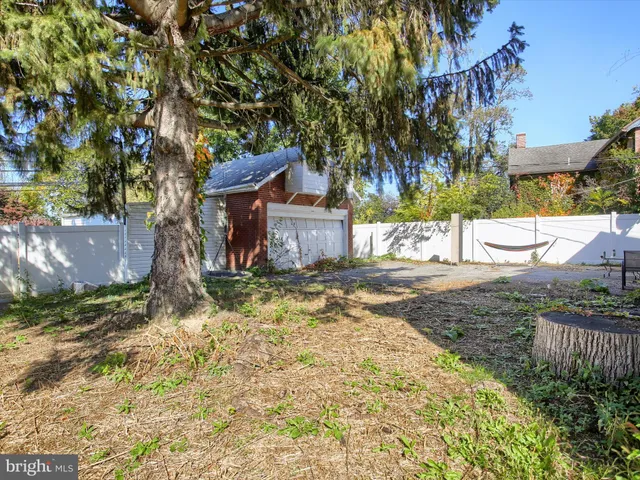 a view of a yard with plants and large trees