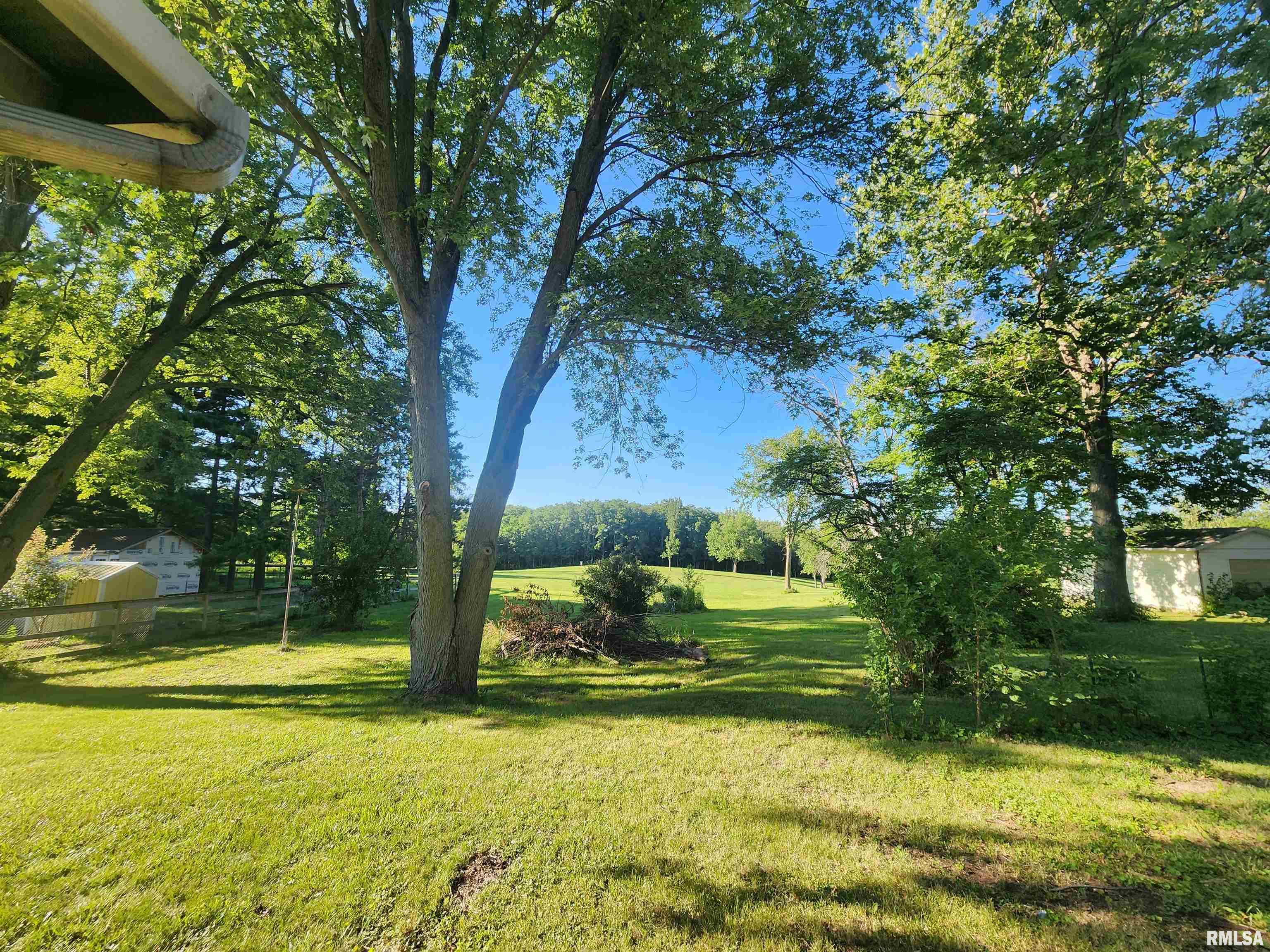 23184 East Park Road Farmington, IL 61531 - Photo 19 of 19