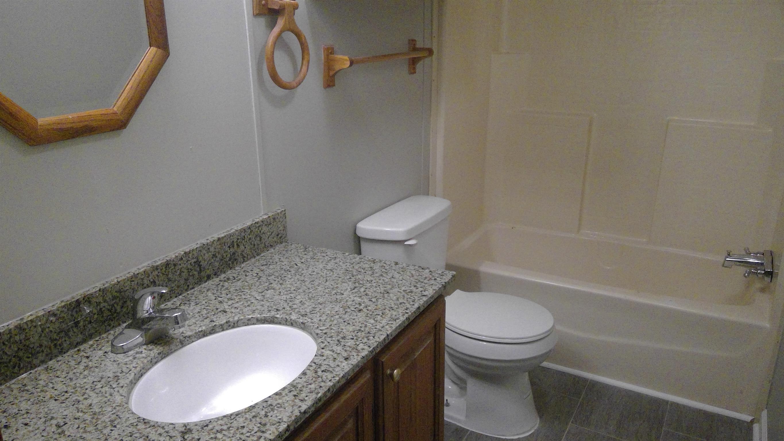 650 Canaan Road Columbia, TN 38401 - Photo 9 of 12 a bathroom with a granite countertop toilet a sink and a mirror