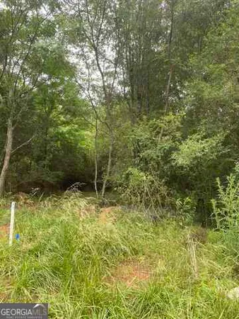 $65,000 | 0 River Birch Lane, Unit LOT 9, Colbert, GA 30628