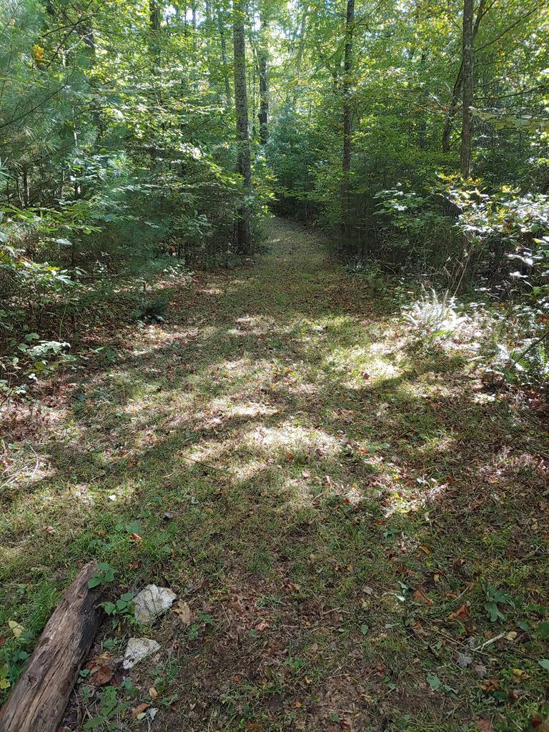 0 Reece Road Southwest Willis, VA 24380 - Photo 20 of 21 Gallery Image 20