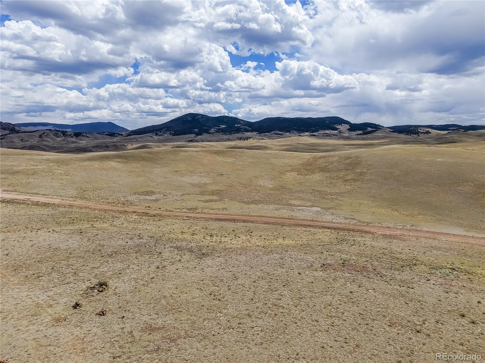 151 Black Beaver Road Hartsel, CO 80449 - Photo 17 of 30