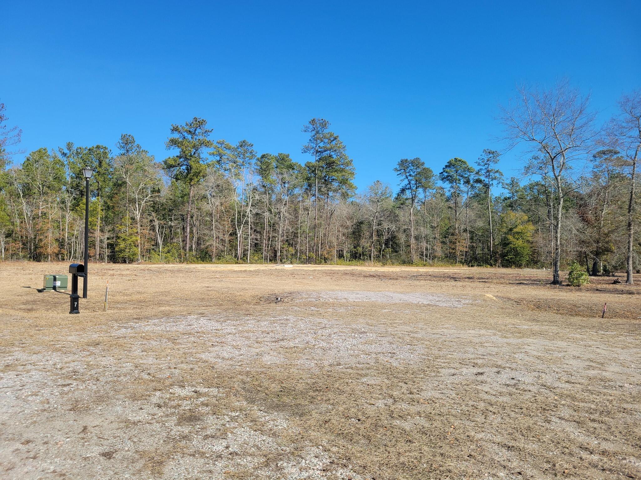 170 Rice Gate Court Walterboro, SC 29488 - Photo 2 of 4 Lot 8 Rice Gate