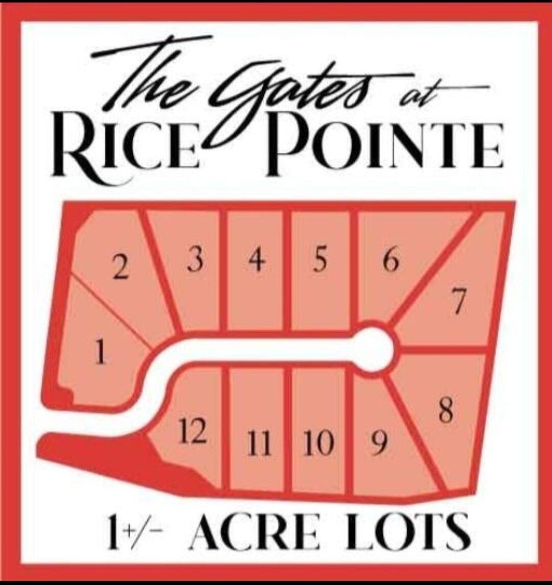 170 Rice Gate Court Walterboro, SC 29488 - Photo 4 of 4 The Gates Photo