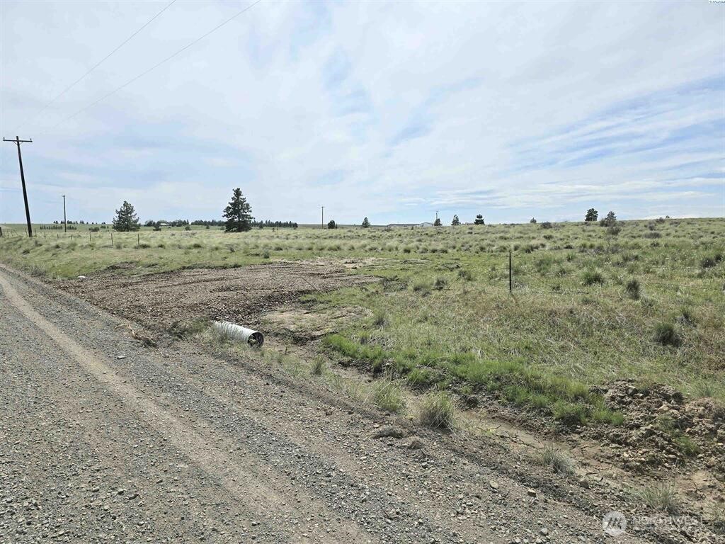 149 Middle Road Bickleton, WA 99322 - Photo 2 of 19 a view of a field with trees in background