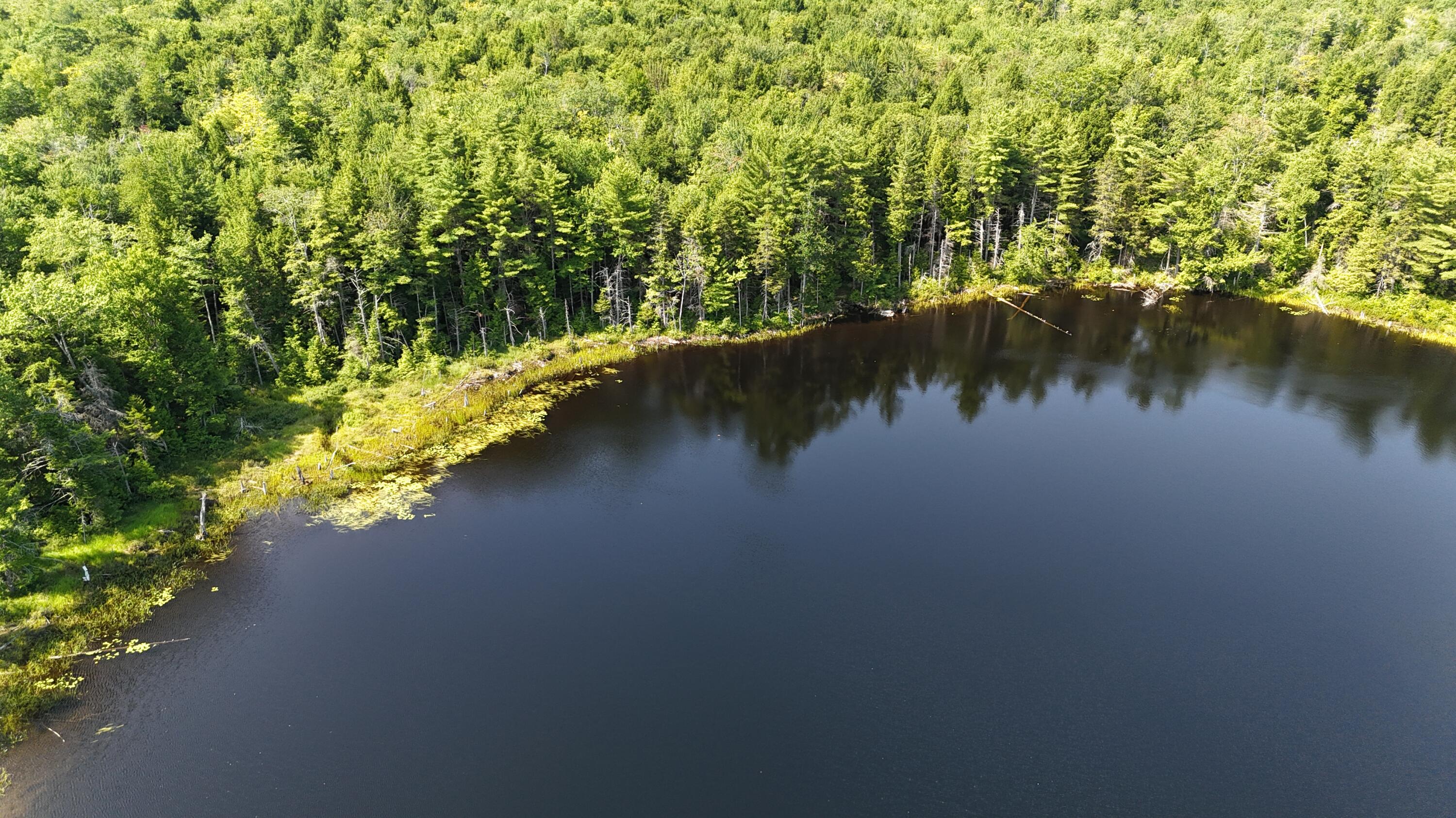 Lot 83-84 Off Jesse Ladd Road Vienna, ME 04360 - Photo 25 of 46 26acresOnDavisPond (6)