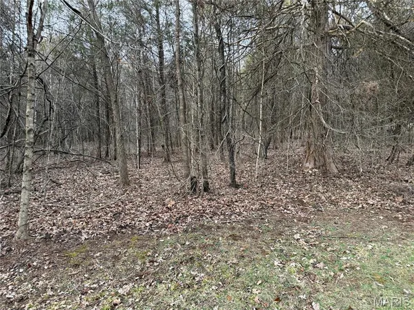 $270,000 | 3559 Hwy F, Annapolis, MO 63620