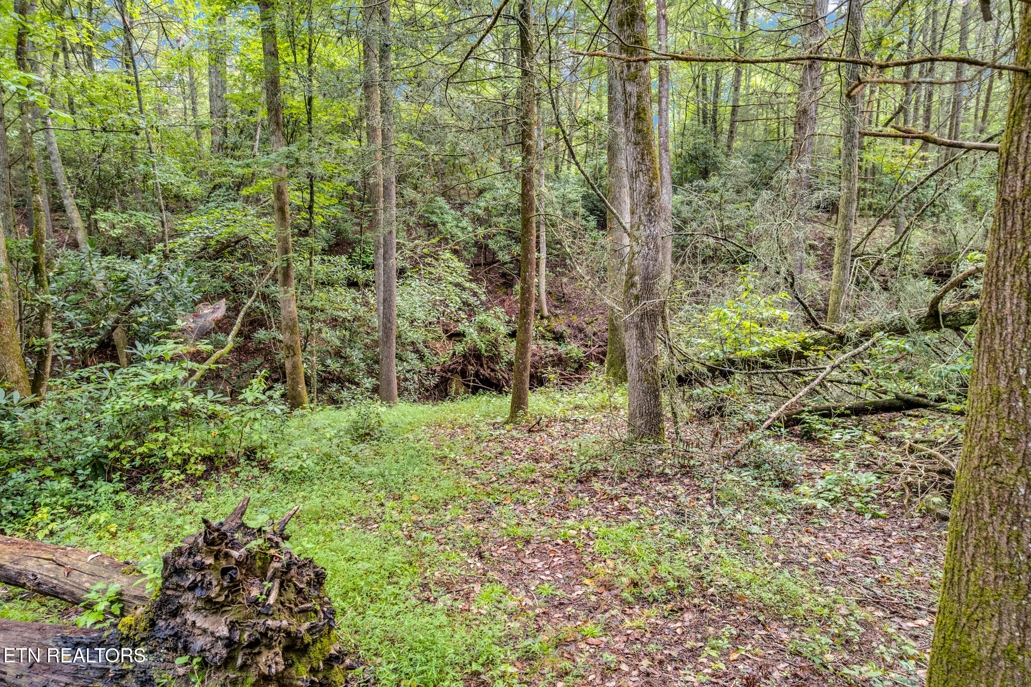 Meadow Lane Road Grandview, TN 37337 - Photo 11 of 26 142 meadow ln rd-06