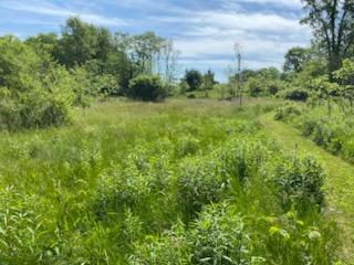 9007 Lake Road Eau Claire, MI 49111 - Photo 28 of 33 Back Acreage