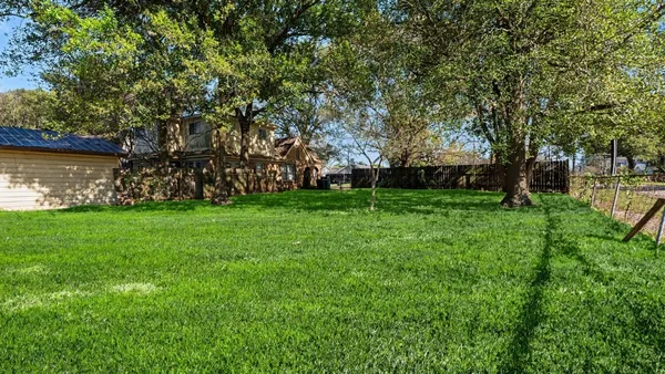 a view of a park with large trees