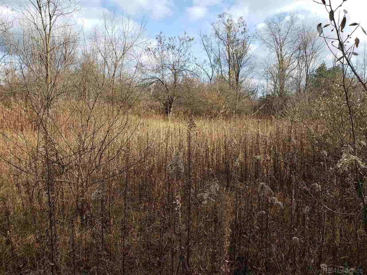 Vl Wixson Road Croswell, MI 48422 - Photo 3 of 3