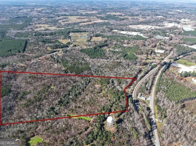 a view of a yard with plants