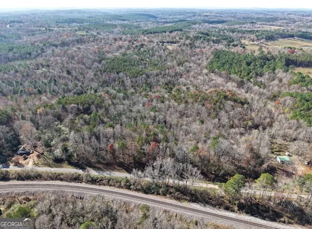 a view of a forest with a yard