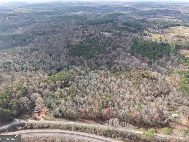 a view of a yard with plants and trees