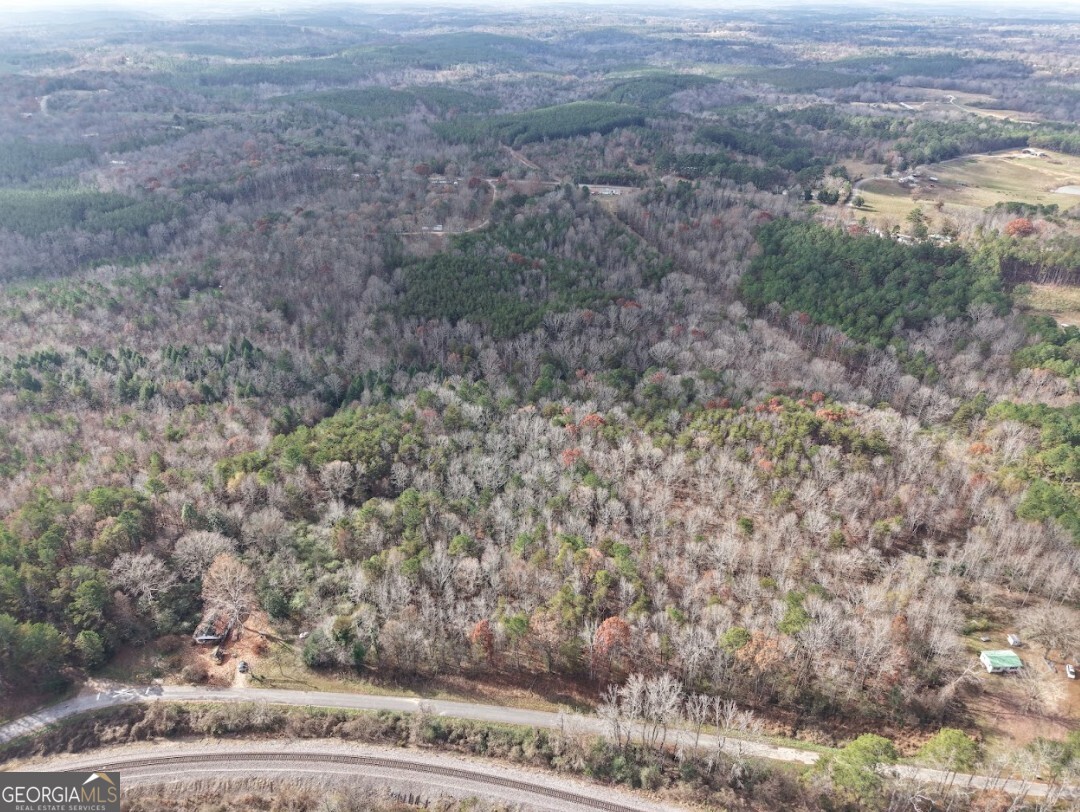 0 Sam Letson Industrial Road Haleyville, AL 35565 - Photo 24 of 28 a view of a yard