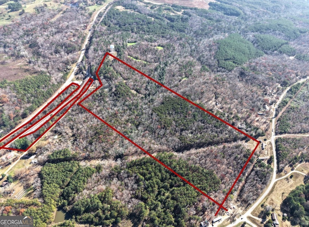 0 Sam Letson Industrial Road Haleyville, AL 35565 - Photo 28 of 28 a view of a yard with large trees