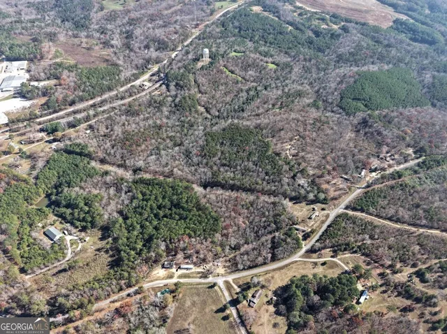 a view of a forest with a tree