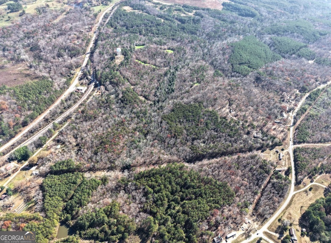 0 Sam Letson Industrial Road Haleyville, AL 35565 - Photo 6 of 28 a view of a forest with a tree