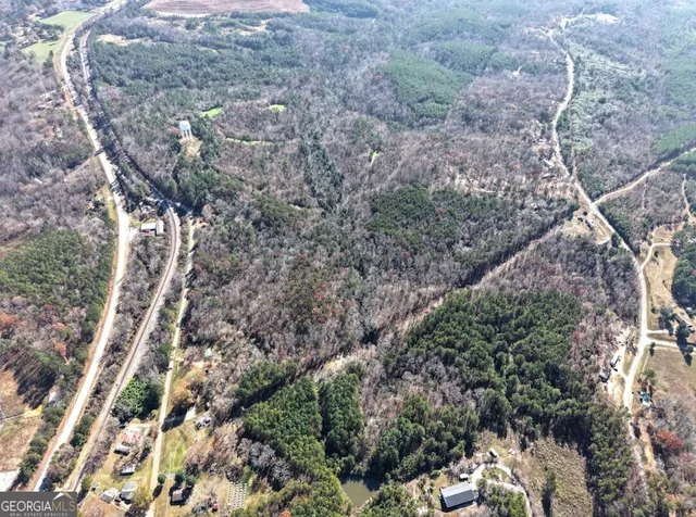 a view of a forest with lots of trees