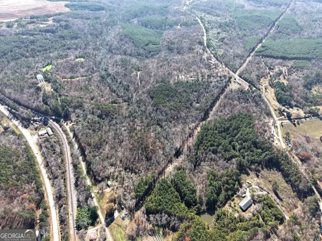 a view of a yard with a tree