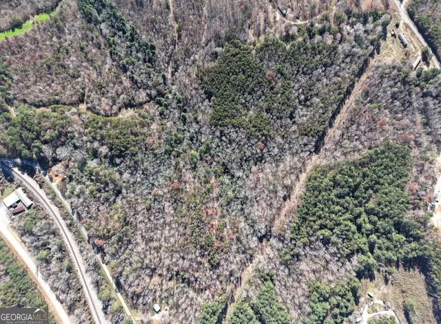 a view of a yard with an outdoor space