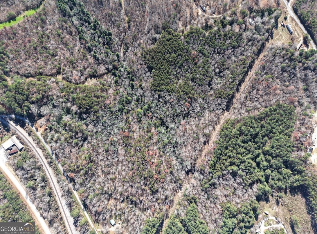 0 Sam Letson Industrial Road Haleyville, AL 35565 - Photo 10 of 28 a view of a yard with a tree