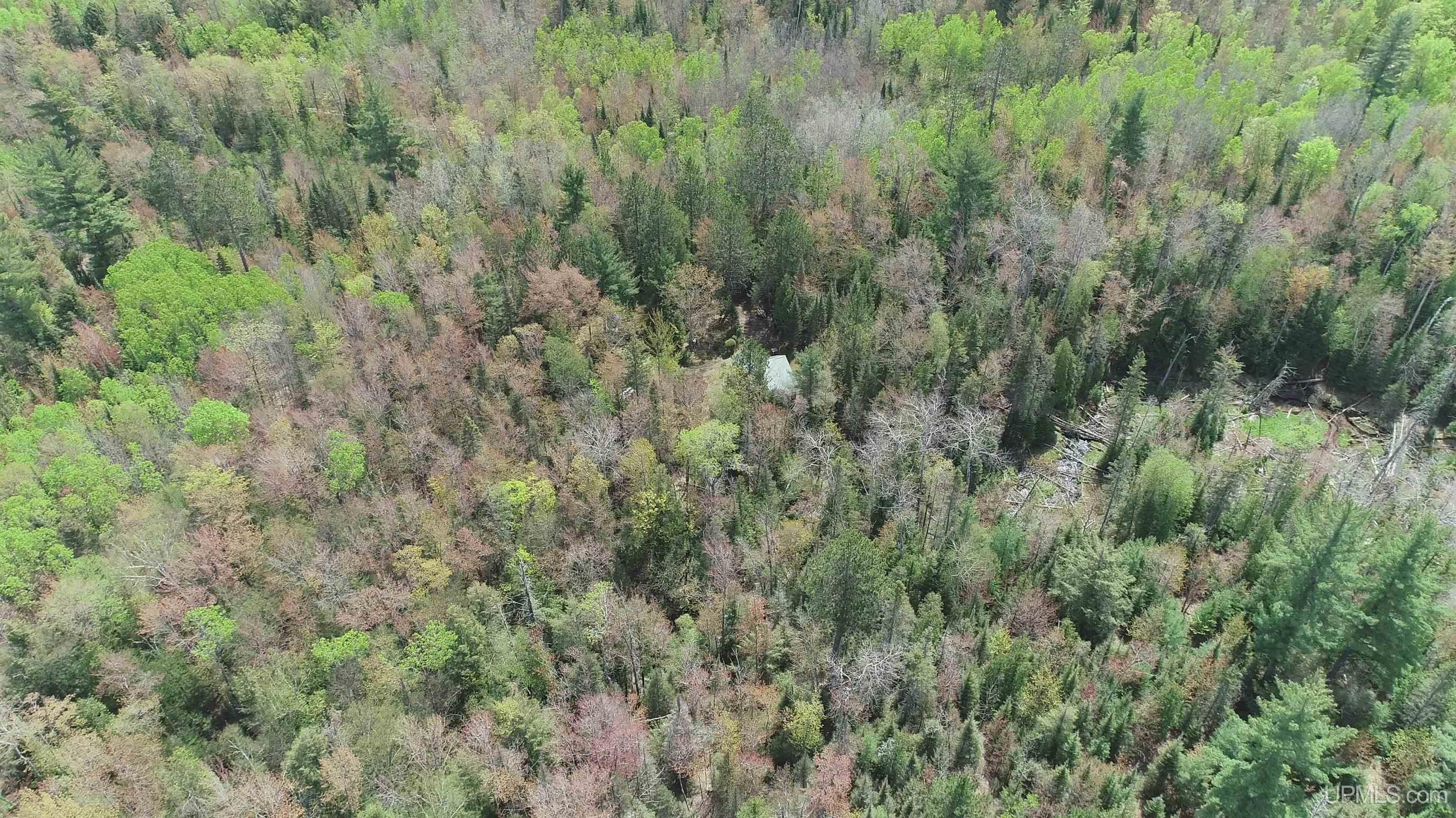 38-acres County Rd NA Road Marquette, MI 49855 - Photo 63 of 70