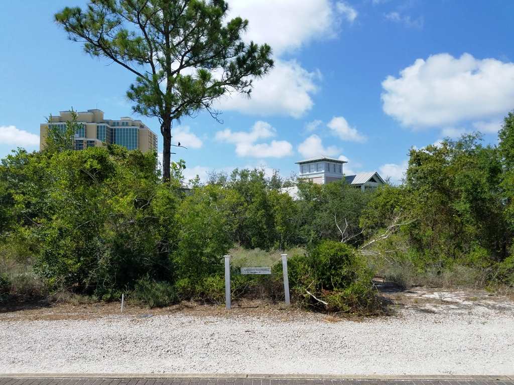 56 Parks Edge Orange Beach, AL 36561 - Photo 6 of 6