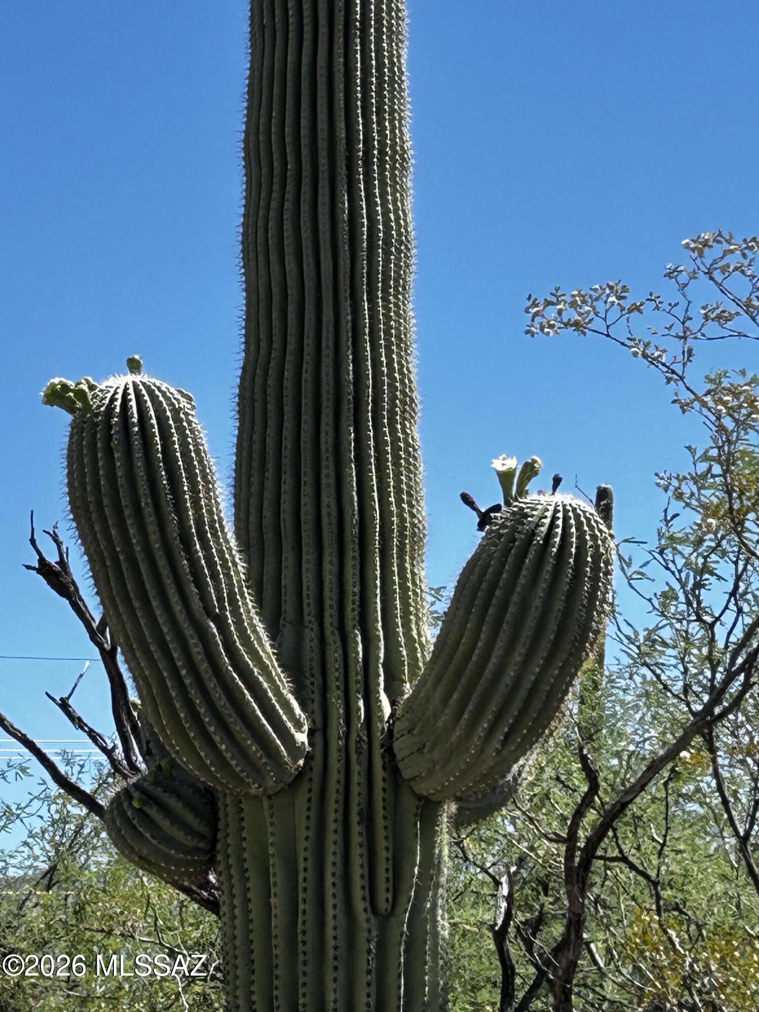 East Roger Road, Unit 46 Tucson, AZ 85749 - Photo 11 of 38