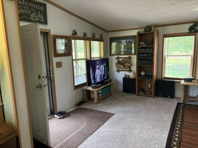 832 Ruffalo Drive Plainfield, WI 54966 - Photo 11 of 66 Gallery Image 11