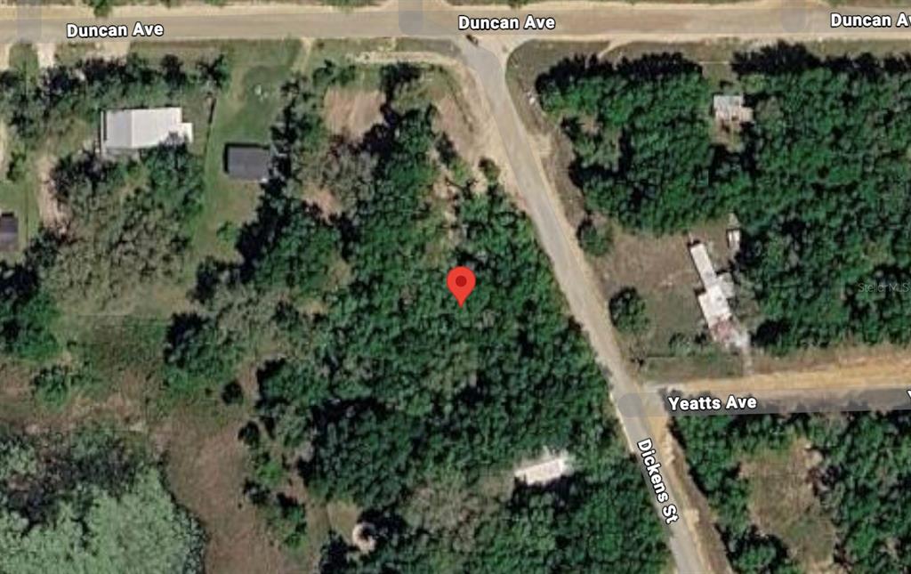 201 Dickens Street Interlachen, FL 32148 - Photo 3 of 5