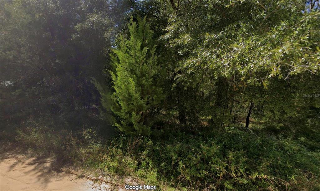 201 Dickens Street Interlachen, FL 32148 - Photo 4 of 5