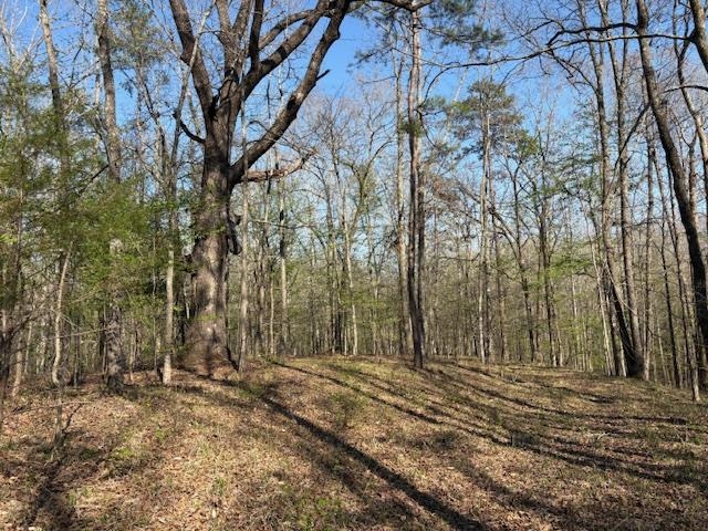 0 Gooch Store Road Hornsby, TN 38044 - Photo 7 of 9 Gallery Image 7