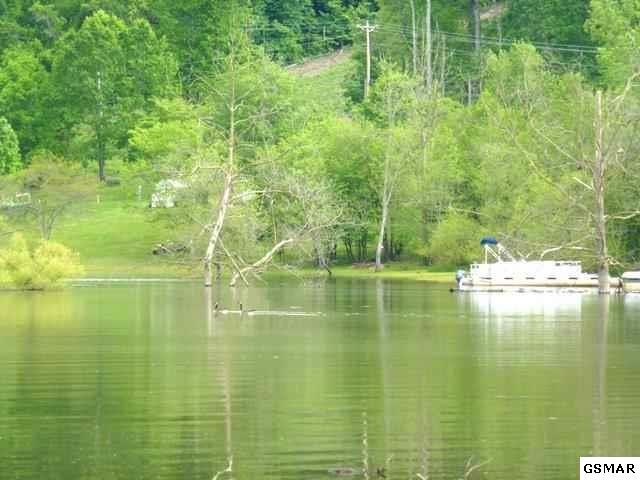 12 Ernie Roberts Road Rutledge, TN 37861 - Photo 12 of 32 Gallery Image 12