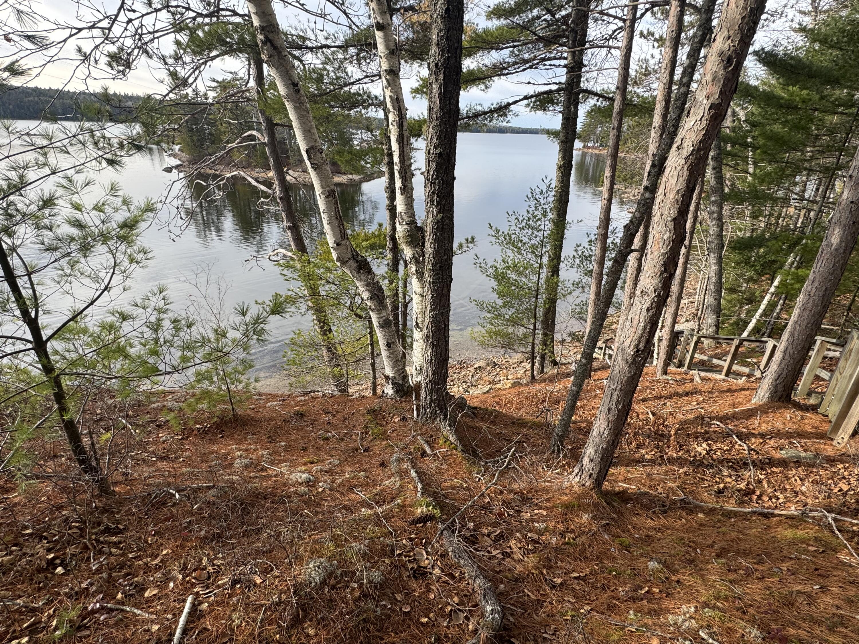422 Bonney Brook Road Princeton, ME 04668 - Photo 15 of 48