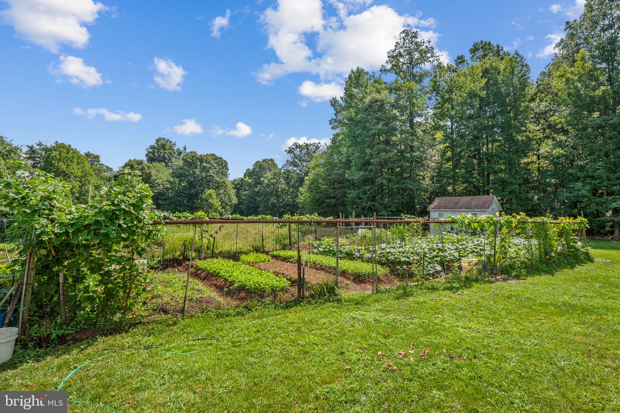 10318 Garson Terrace Lanham, MD 20706 - Photo 68 of 75