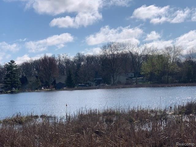 2 Argentine Road Howell, MI 48843 - Photo 8 of 20