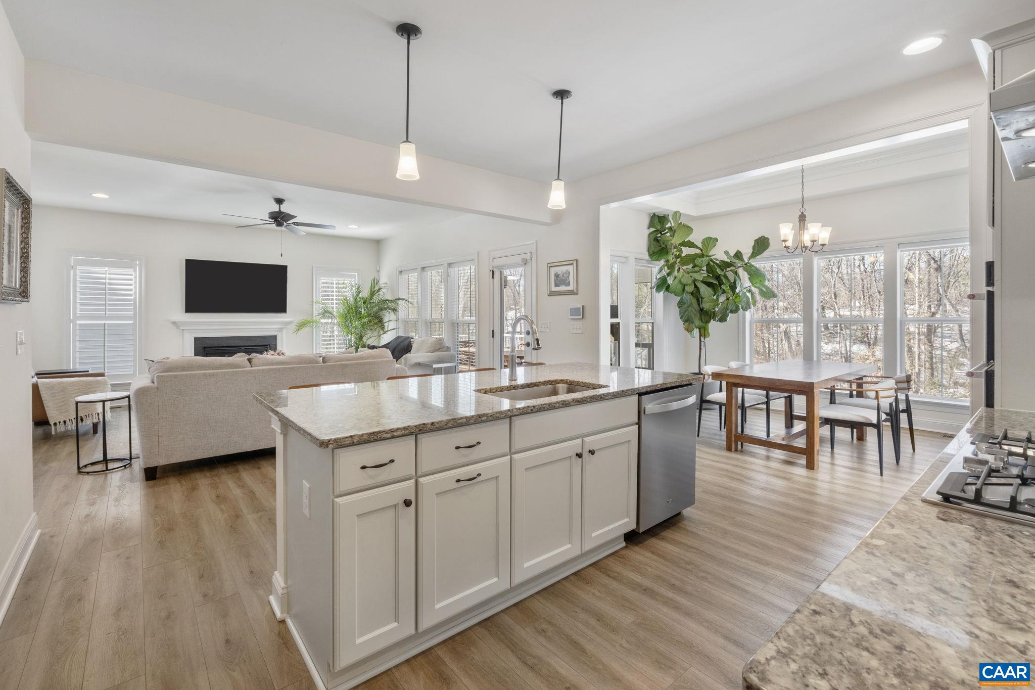 162 Agatha Ridge Lane Crozet, VA 22932 - Photo 42 of 42 Open Floor Plan