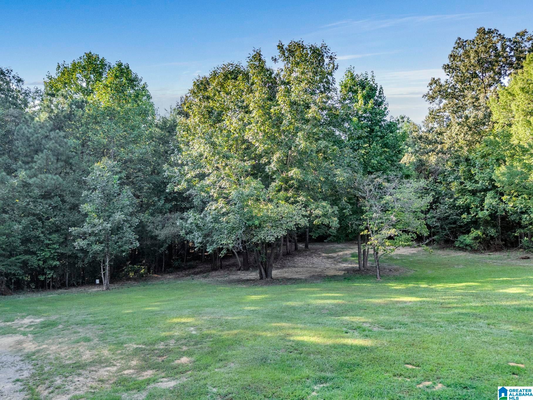 1111 Tim King Road Cleveland, AL 35049 - Photo 34 of 49 Gallery Image 34