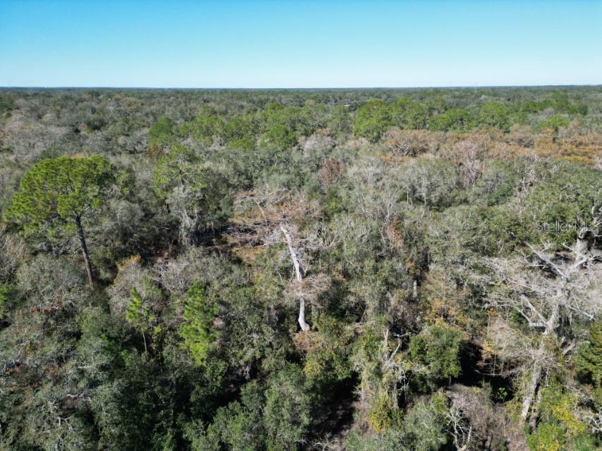 39716 Tworut Road Webster, FL 33597 - Photo 30 of 36