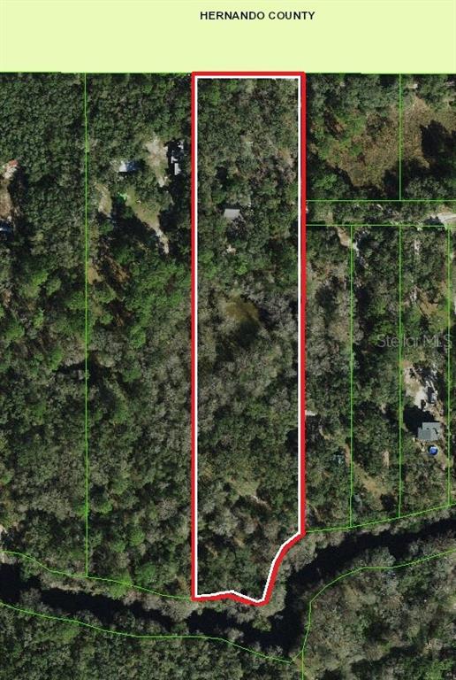 39716 Tworut Road Webster, FL 33597 - Photo 36 of 36 a view of a garden