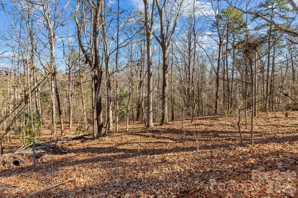 a view of a backyard of the house