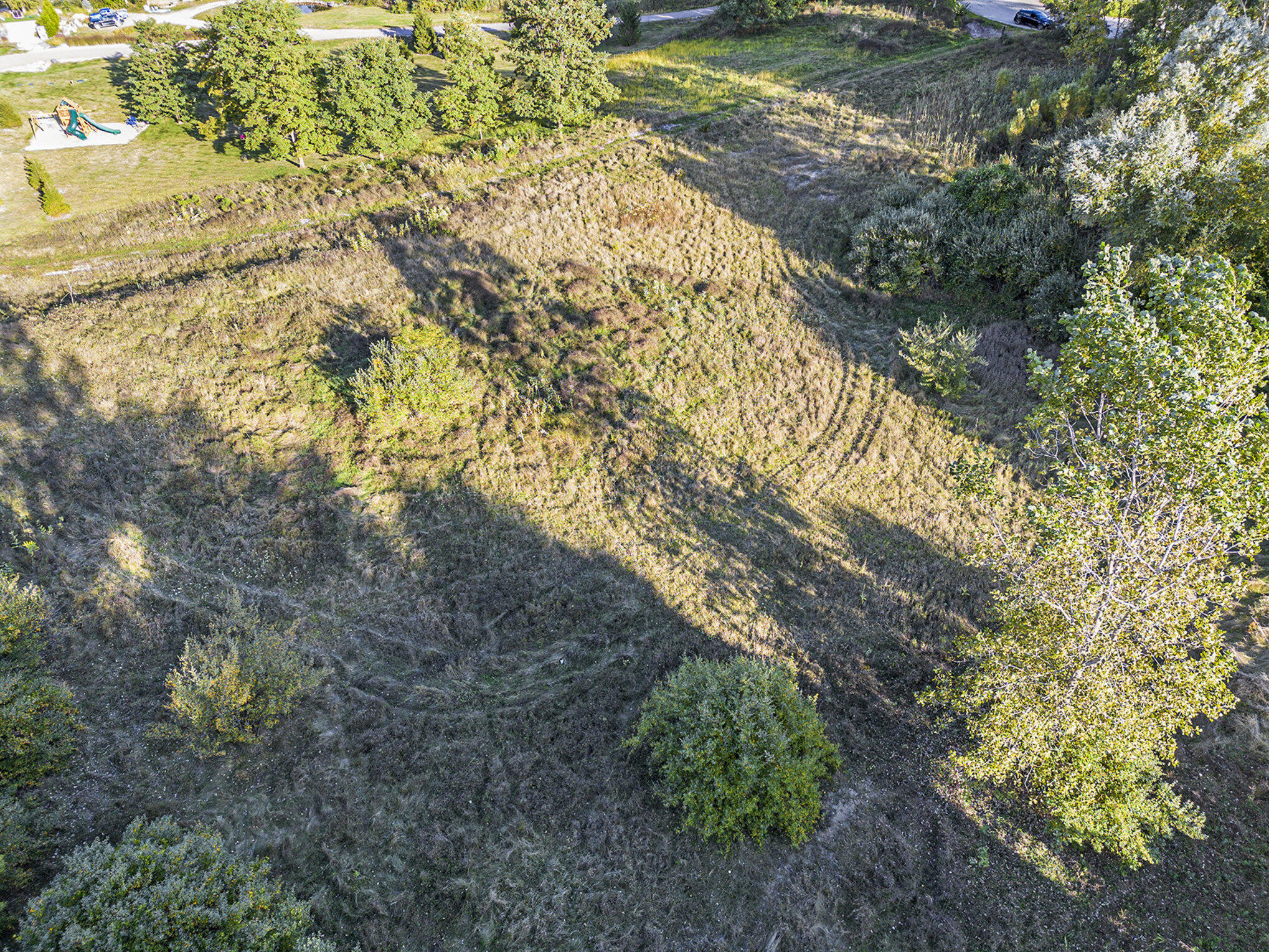 5326 River Ridge Lane Ann Arbor, MI 48103 - Photo 8 of 10 006_dji_0836_168