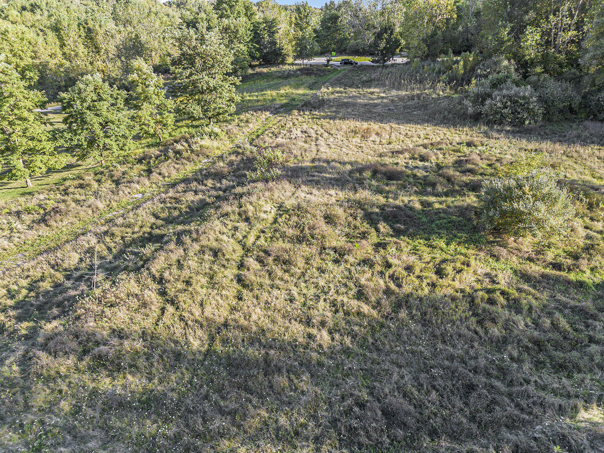 5326 River Ridge Lane Ann Arbor, MI 48103 - Photo 9 of 10 007_dji_0837_172