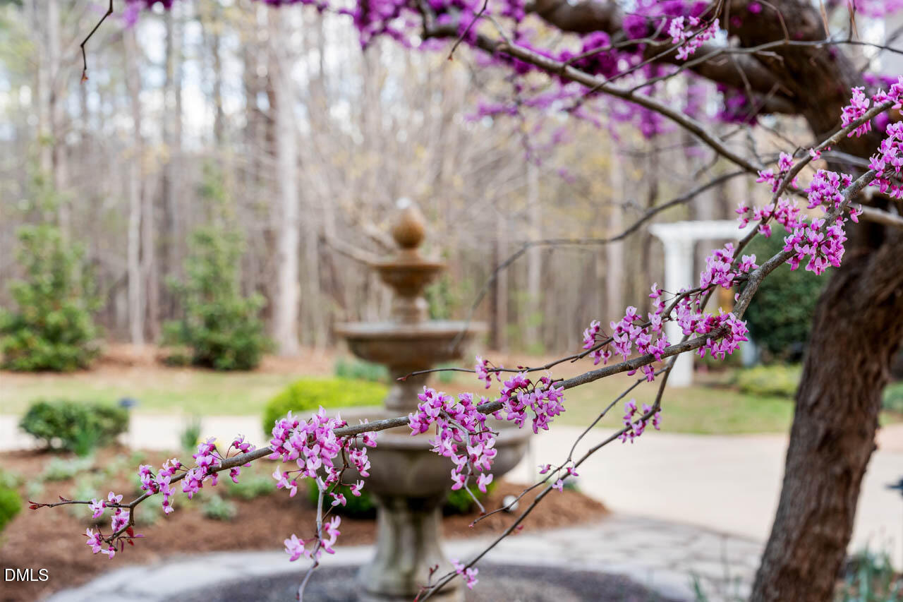801 Oxbow Crossing Road Chapel Hill, NC 27516 - Photo 89 of 93 8