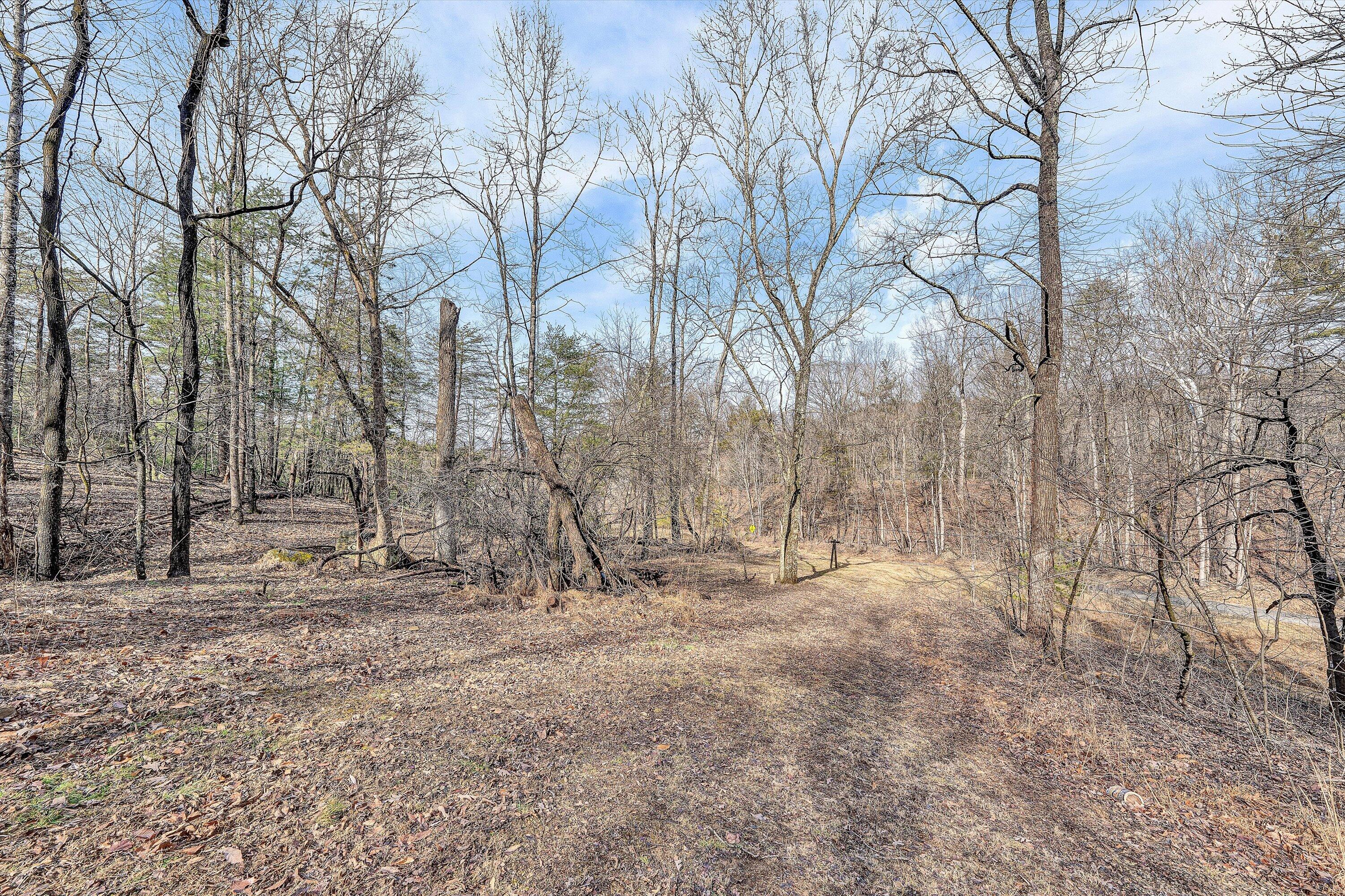 4312 Harborwood Road Salem, VA 24153 - Photo 25 of 32 a backyard of a house with lots of green space