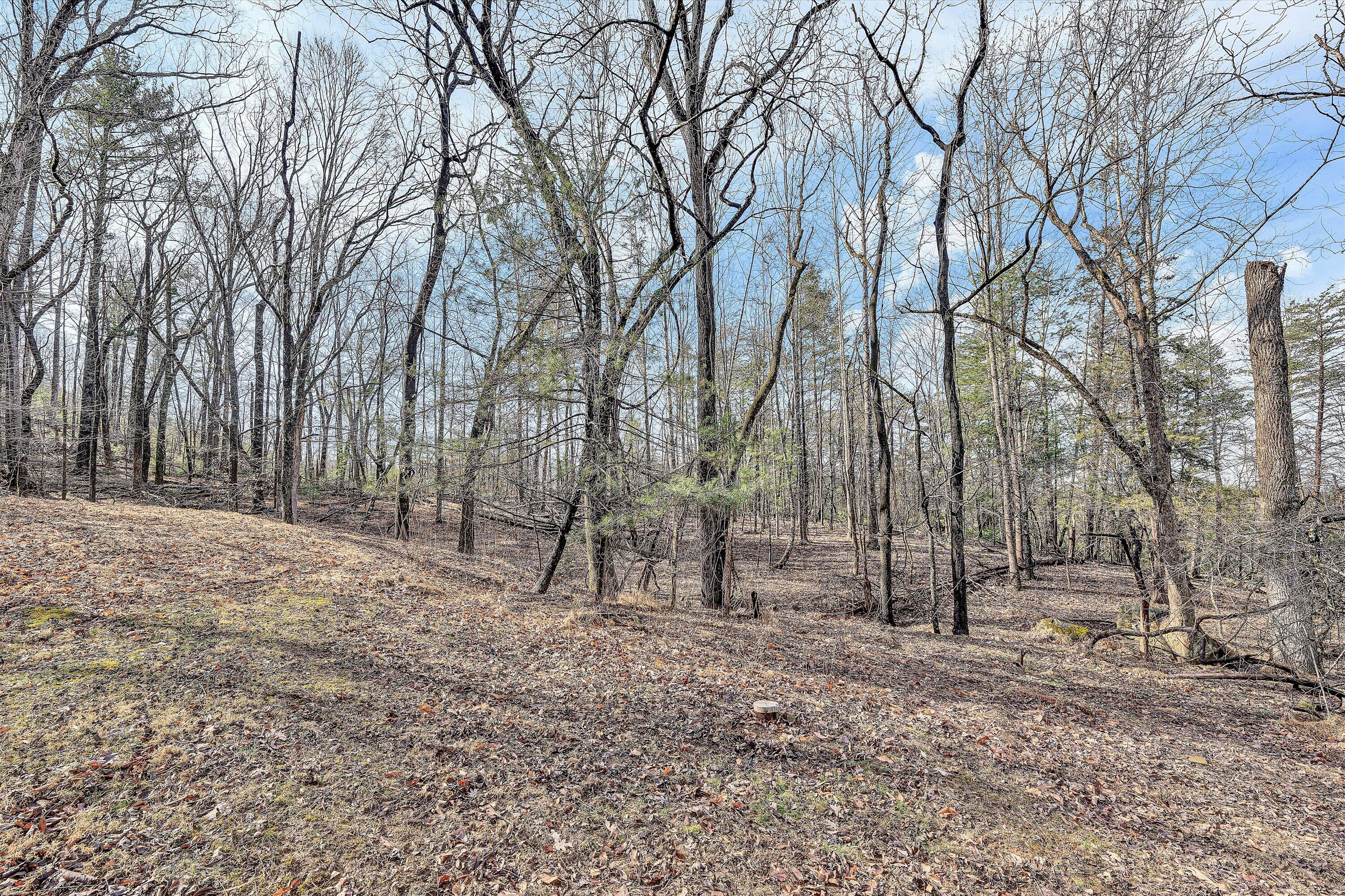 4312 Harborwood Road Salem, VA 24153 - Photo 26 of 32 a backyard of a house with lots of green space