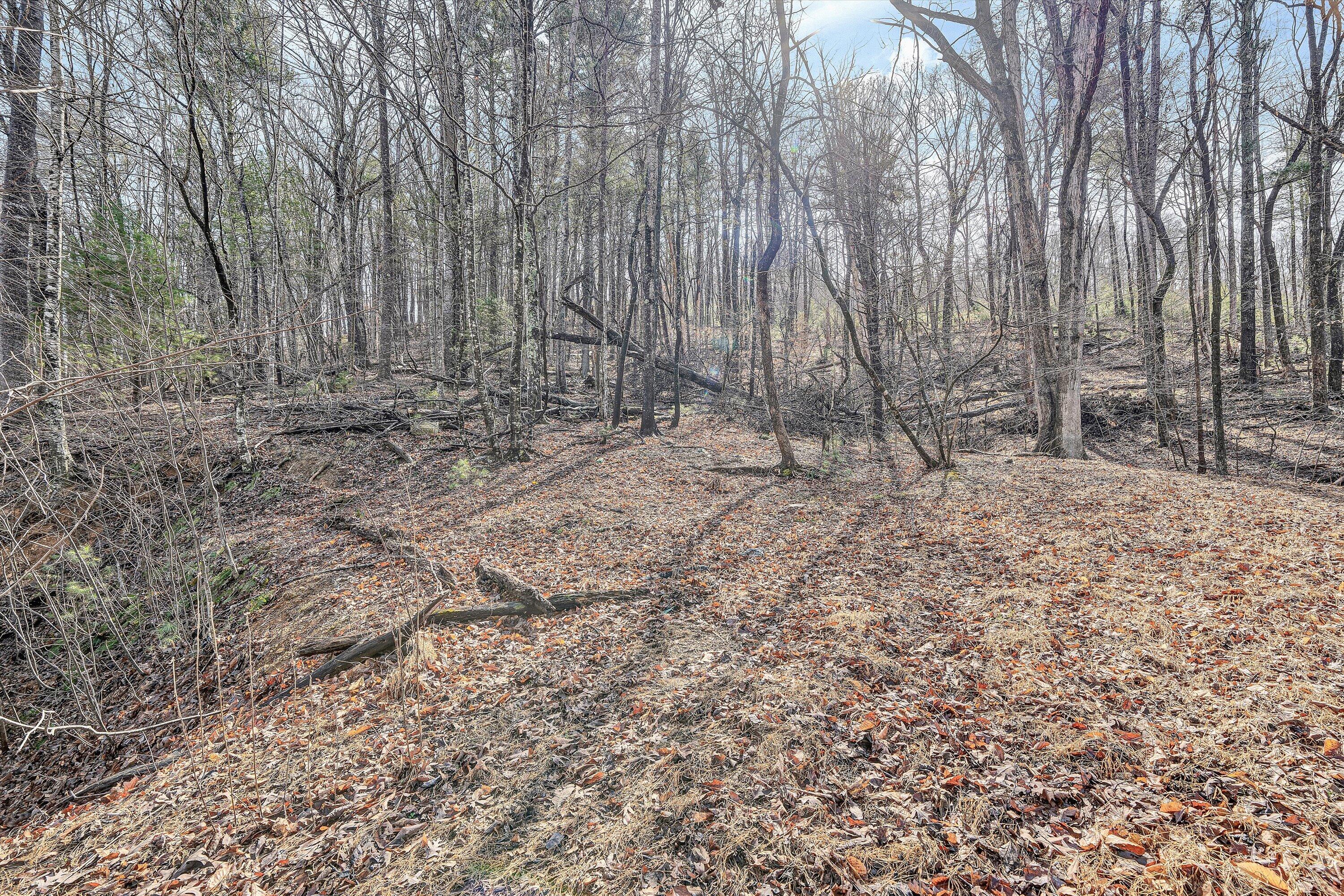 4312 Harborwood Road Salem, VA 24153 - Photo 27 of 32 a view of backyard with trees