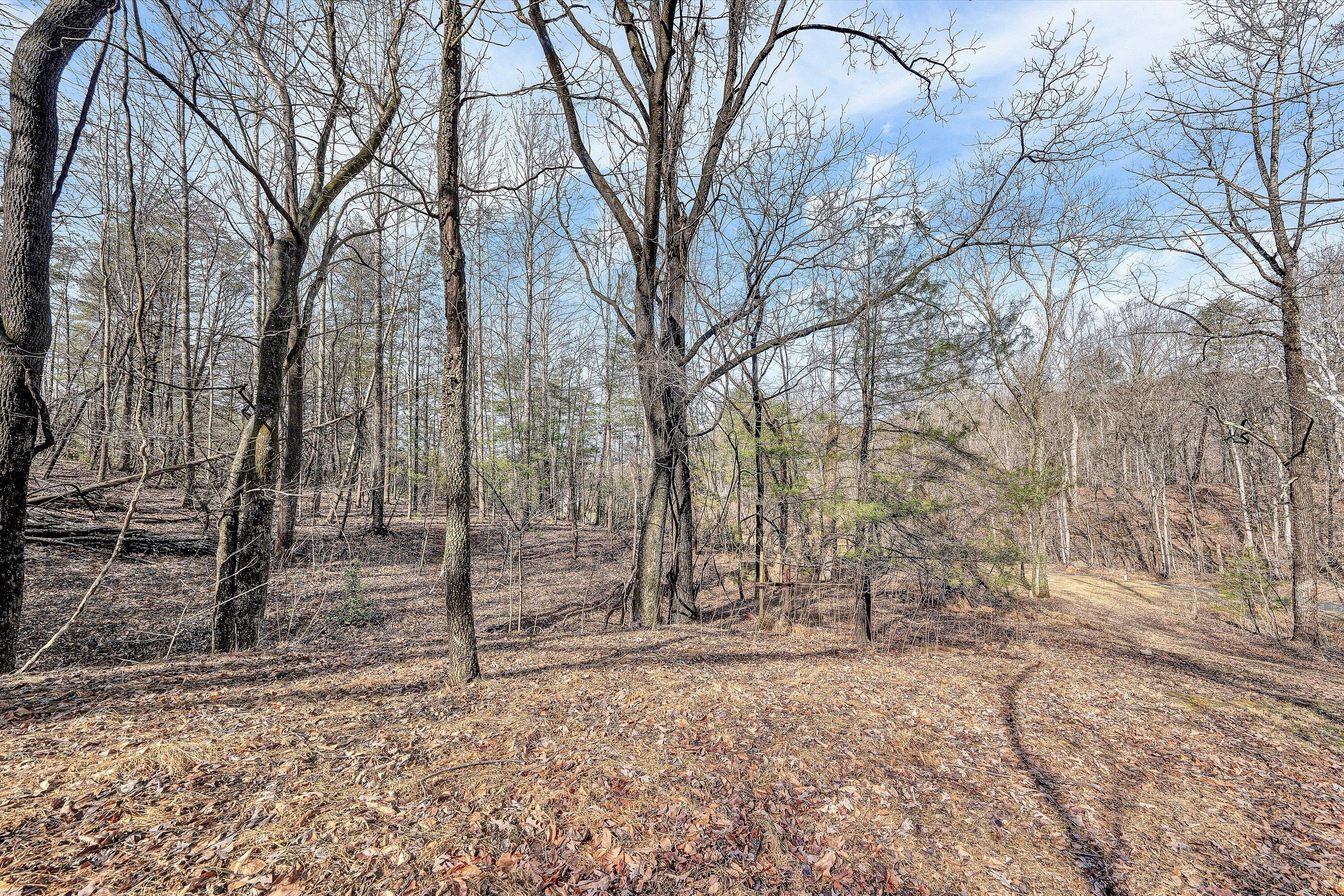 4312 Harborwood Road Salem, VA 24153 - Photo 28 of 32 a backyard of a house with lots of green space